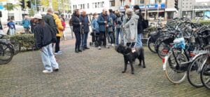 Met blindengeleidestok op pad in Eindhoven.